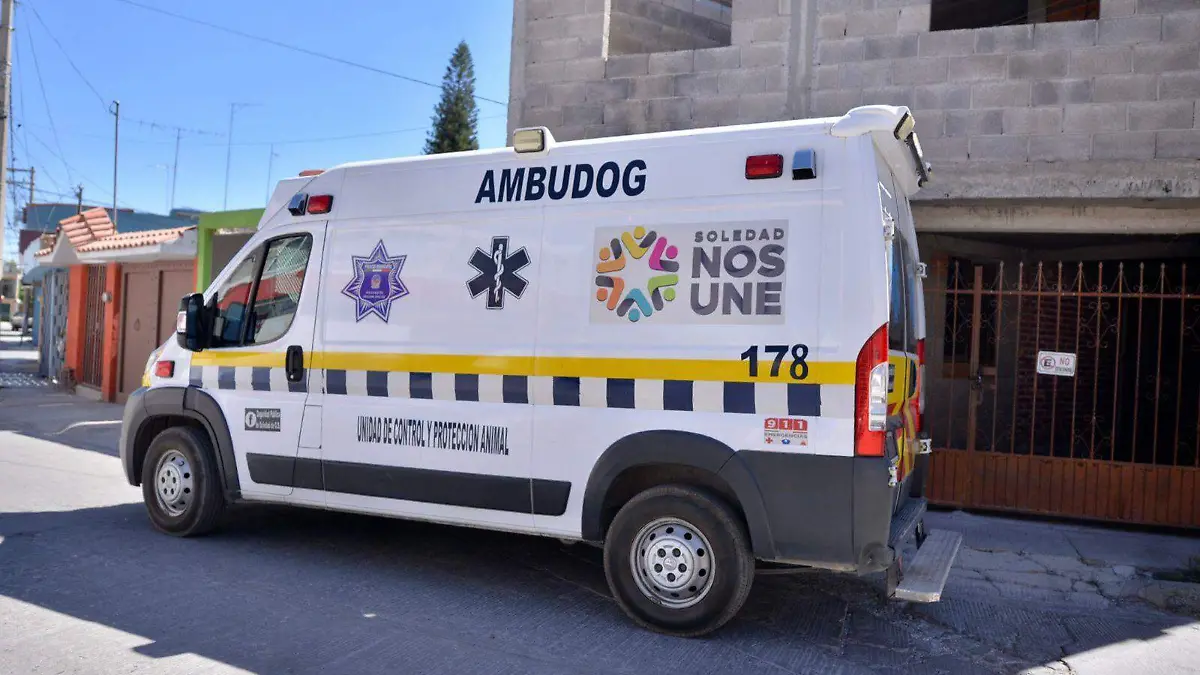 Ambudog  (1)